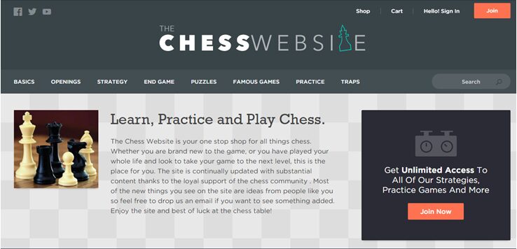 The-chess-website