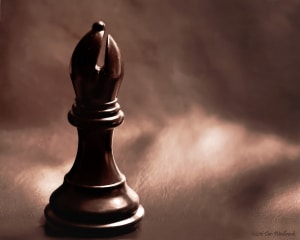 the name of the chess pieces and their moves