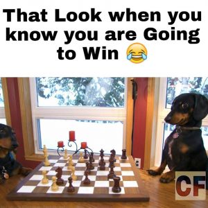Memes for chess.