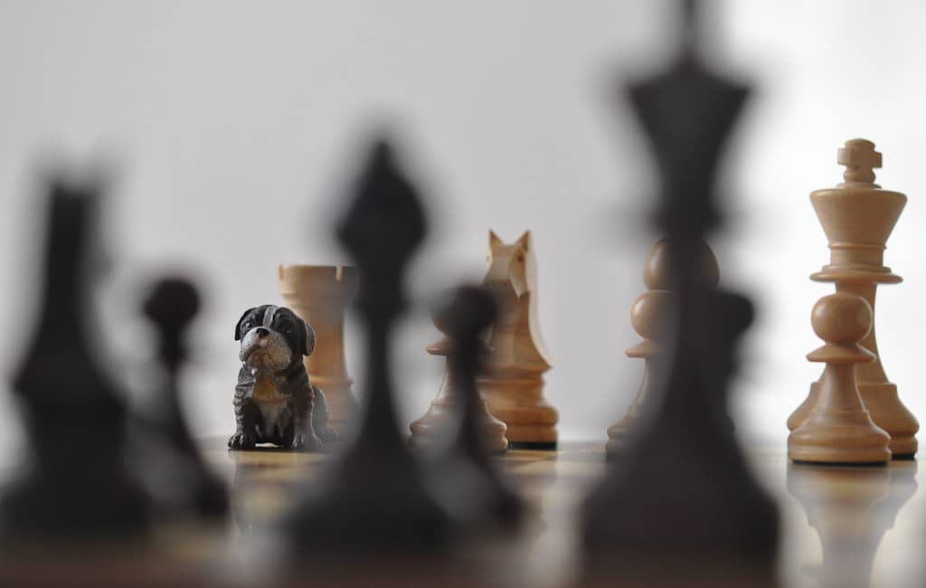 Sacrifice - Chess Terms