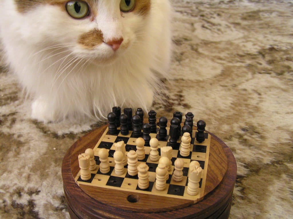 FLYORDIE Chess 5 minutes 