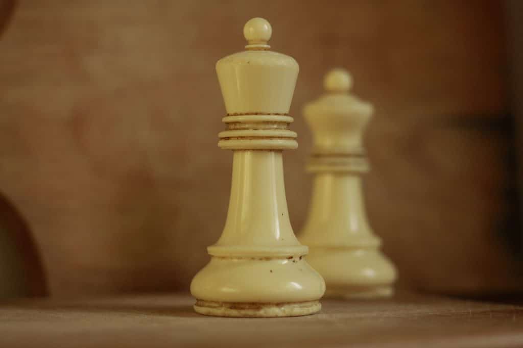 In Chess Can a King Kill a King?