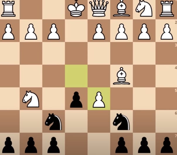 Opening moves in chess