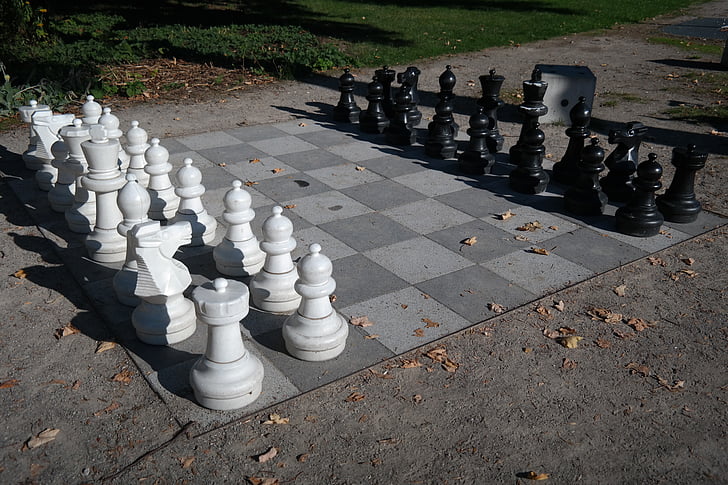 What are the 7 steps to start chess?