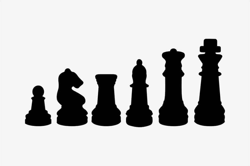 What kind of chess set do professionals use?