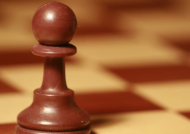 Chess jokes: Know the #1 memes or jokes in exquisite chess. 1 What to call a person who plays chess?