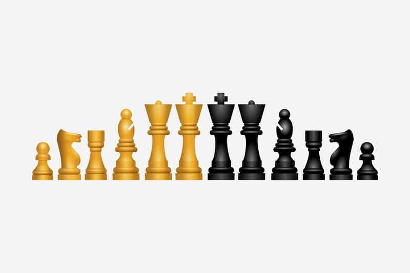 What are the 16 chess pieces called?