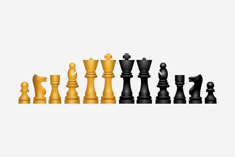 ▷ Chess rook: Amazing new information about this piece!