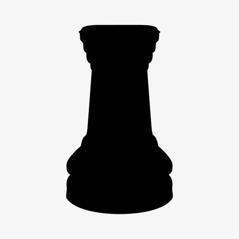 What does a rook do in chess?