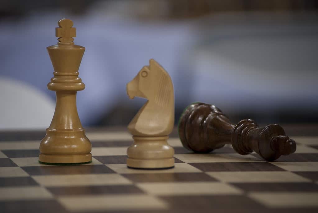 knight in chess
