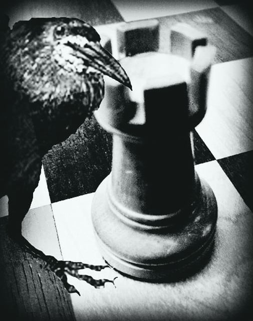 Rooks chess piece